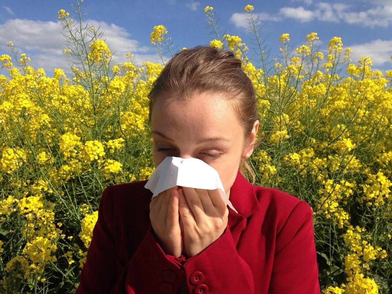 Luftrenare och luftfuktare kan hjälpa pollenallergiker